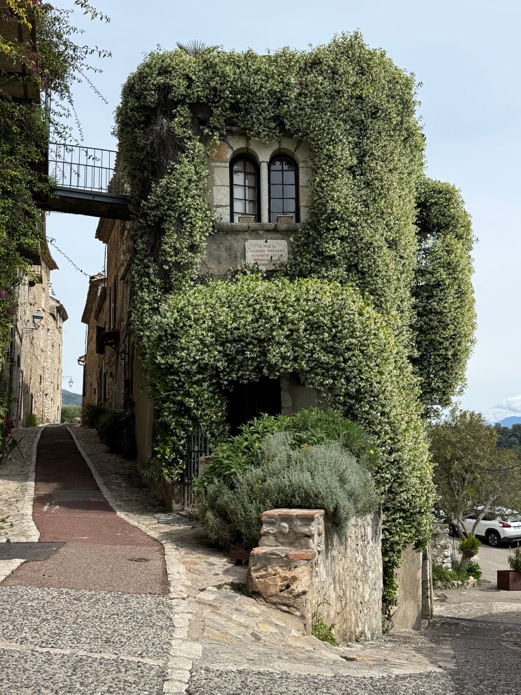 Gassin: building with plants